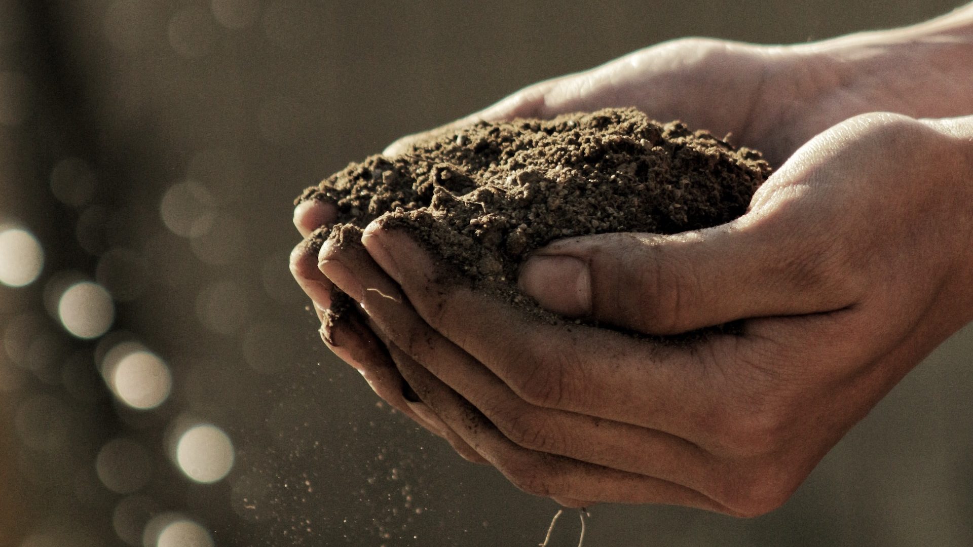 Percorsi educativi a tema ambiente Due mani congiunte che sollevano della terra