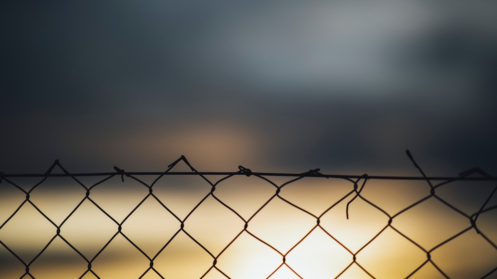 migrazioni