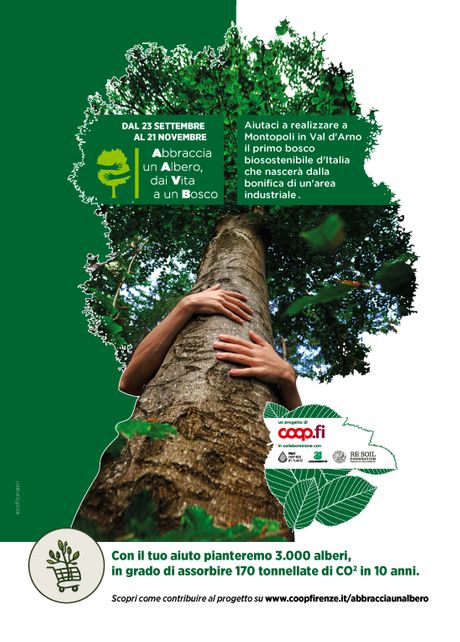 campagna abbraccia un albero